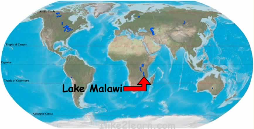 Lake Malawi